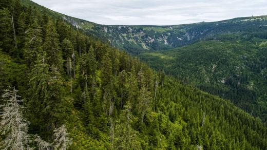 Strmá stráň v Krkonoších