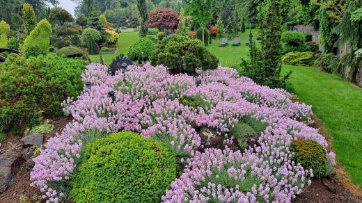 V Miniarboretu U Holubů je krásně v každé roční době. I za každého počasí