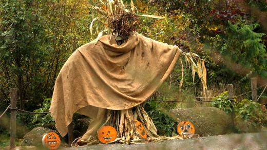 Halloween v Zoo Plzeň