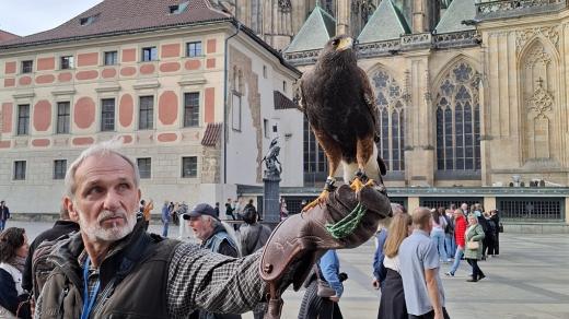 Sokolník Ladislav Hokr a káně Harrisova Eda