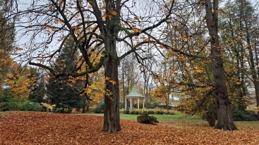 Tyršův park v Jablonci nad Nisou