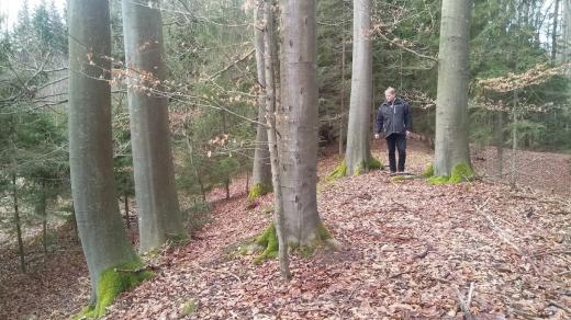 Ledenický pulmon - na těchto nenápadných návrších u Ledenic se cvičili rakouští vojáci proti Napoleonovi