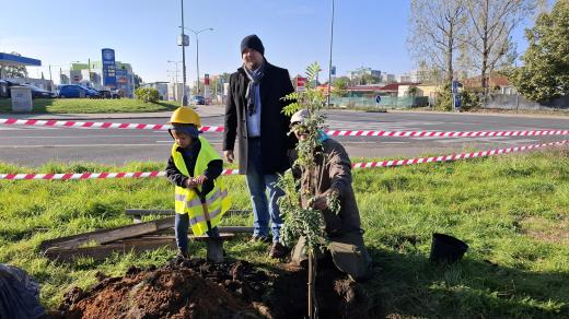 Vysazení stromu jeřáb oskeruše u Ďáblického háje pomáhaly děti z MŠ Jeřabinka