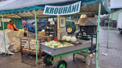 O krouhané zelí je velký zájem