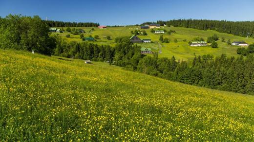 Krkonoše nejsou skanzen, rozvoj ale nesmí ohrozit vzácné horské louky