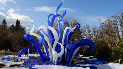 Křišťálová zahrada