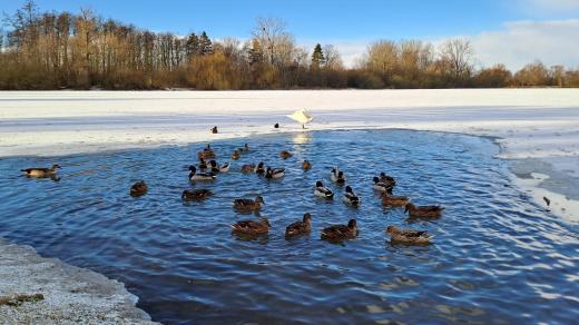 Poděbrady u Olomouce mají v zimě neopakovatelnou atmosféru
