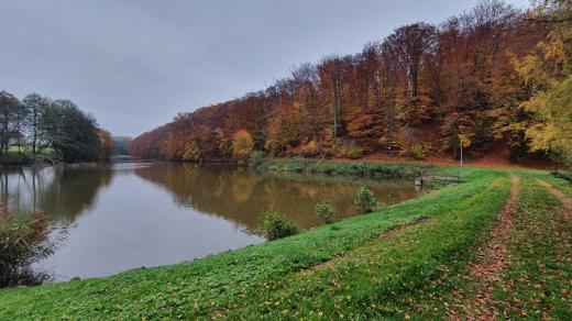 Rybník Švihov je součástí přírodní rezervace Na Hradech