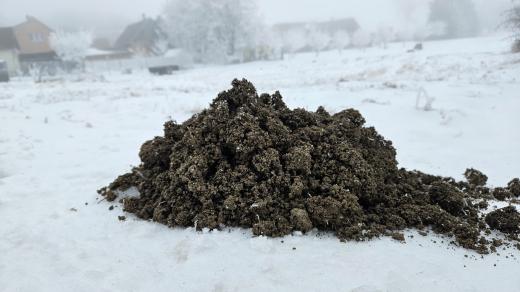 Následky zimního řádění krtků ve Velké Lhotě u Telče