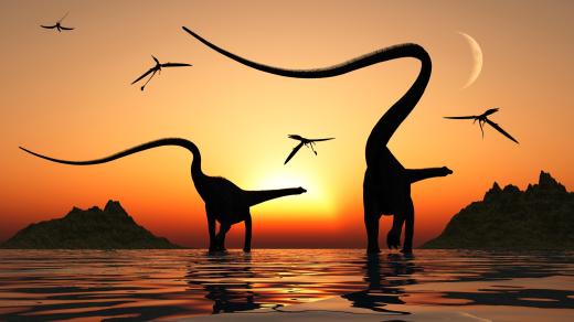 Diplodocus, sauropodní dinosaurus