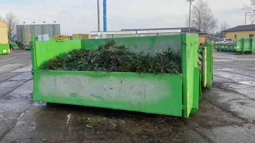 Vánoční stromky v kompostárně v Dražkovicích, ilustrační foto