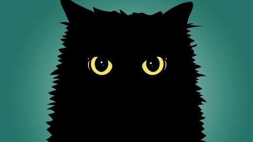 Jak může černá kočka přinést svému majiteli pohádkové bohatství?