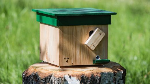 V Týništi nad Orlicí vyrábí budky nejen pro ptáky - Čmelákovník zelený