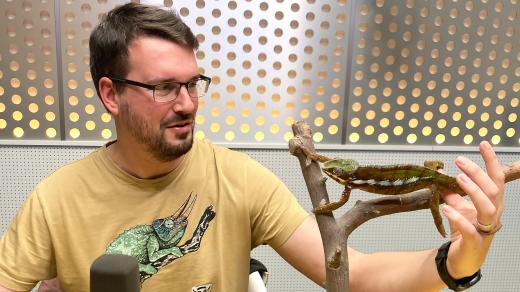 Daniel Koleška ze Zooparku Zájezd a chameleon Pascal