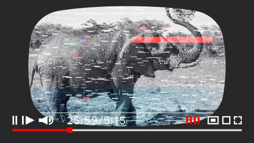 Fenomén YouTube: Televize v kapse