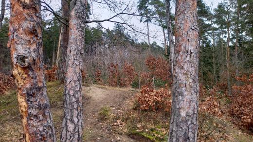 Zaniklý hrádek Kyjov