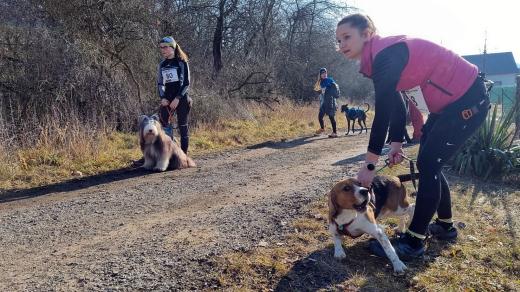 Canicrossové závody v Městě Touškově
