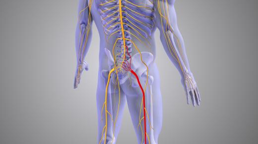 Neuropatické bolesti