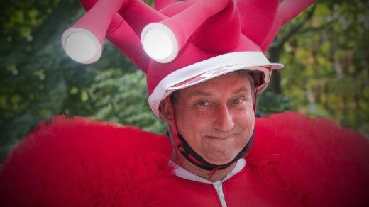 Střelecký ostrov, Národní Open Air na Střeleckém ostrově, Robert Mikluš