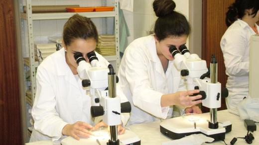 Střední odborná škola veterinární v Hradci Králové slaví 100. narozeniny