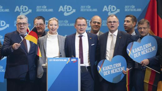 Vedení krajně pravicové Alternativy pro Německo (AfD)