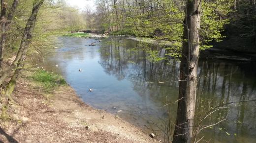 Řeka Olše, které místní neřeknou jinak než Olza