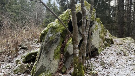 Hamižná