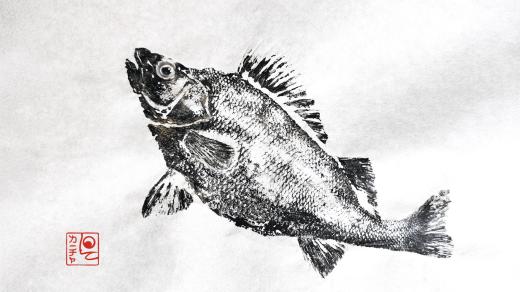 Gyotaku okouna