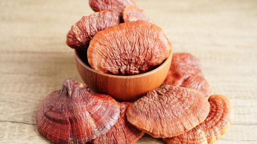 Reishi se suší a pak se mele na prášek