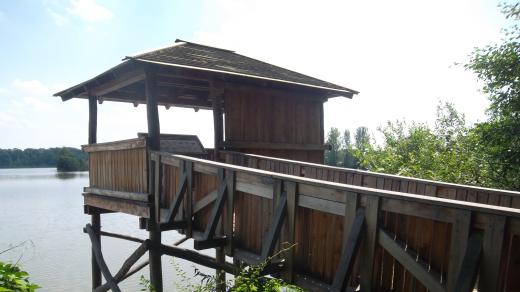 Přírodní rezervace Kotvice