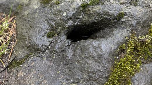 Nejmenší studánka na světě