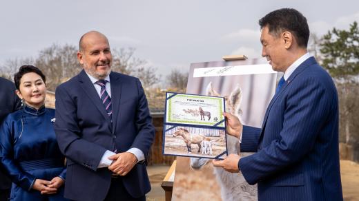 Ředitel Zoo Praha Miroslav Bobek uděluje mongolskému prezidentu Uchnágínu Chürelsüchovi certifikát o pojmenování hříběte koně Převalského, které má v plemenné knize číslo 7 000. Nalevo stojí mongolská ministryně zahraničních věcí Battsetseg Batmunkh
