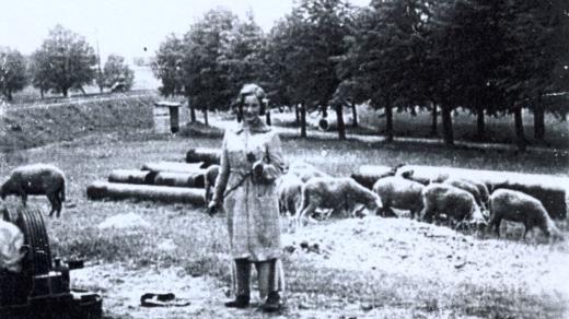 Doris Grozdanovičová na známém snímku Dívka s ovečkami. Terezín 1943
