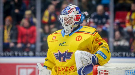 Brankář Milan Klouček