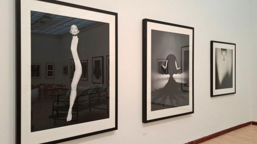 Retrospektivní výstava fotografa Tona Stana v prostorách Městské knihovny