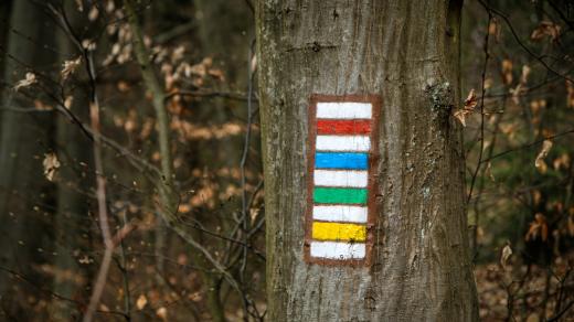 Turistické značky hledejte na stromech, ale třeba i na kamenech