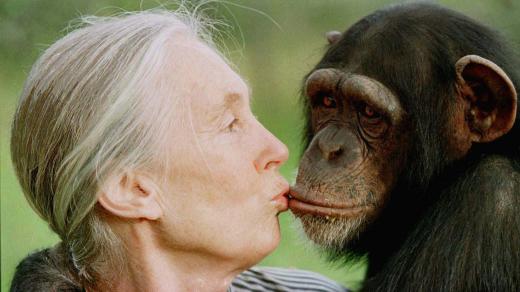 Jane Goodallová