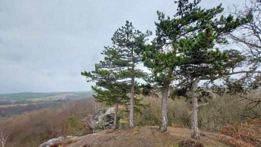 Osm set metrů dlouhý buližníkový hřbet se rozkládá podél hranice se Středočeským krajem