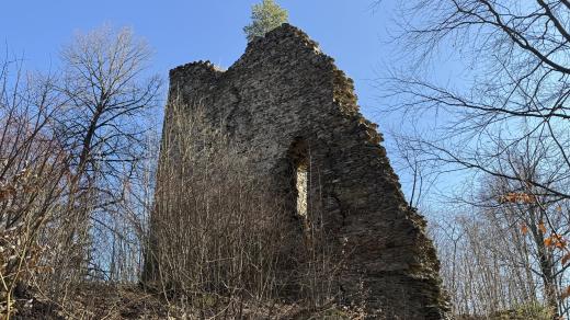 Zbytky hradu Pajrek u Nýrska