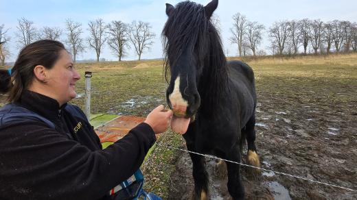 Bára a něžný obr Harvey
