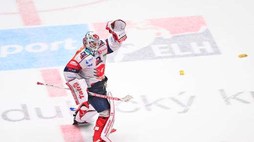 Brankář Pardubic Roman Will