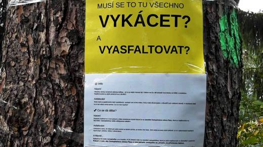 V Plasích má ustoupit alej smrků in-line dráze. Lidé proti tomu protestují