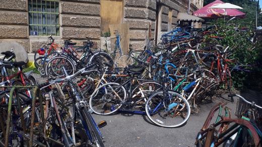Nymburská cyklo-zahrádka