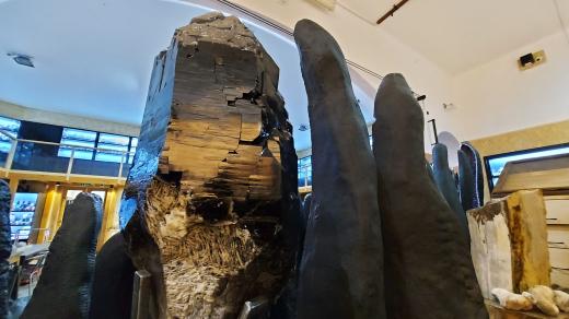 Krystal záhnědy v expozici nerostů v Zámrsku