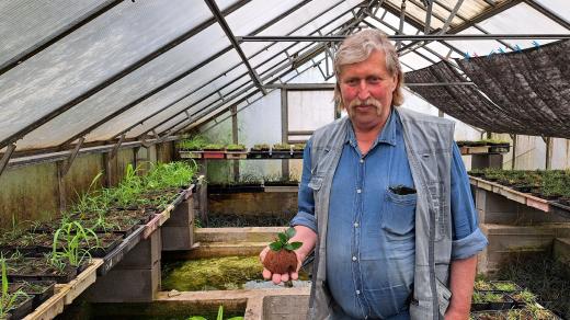 Akvaristických kroužků podle Václava Hořánka ubylo, rostliny ale pěstuje dál