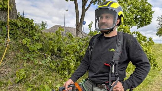 Arborista Štěpán Bulva