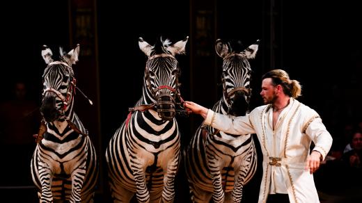 Cirkus Humberto