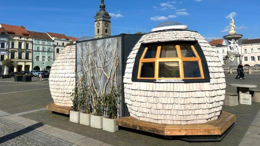 Unikátní autonomní dům Samorost, který architekti vyrobili částečně ze směsi dřeva a podhoubí