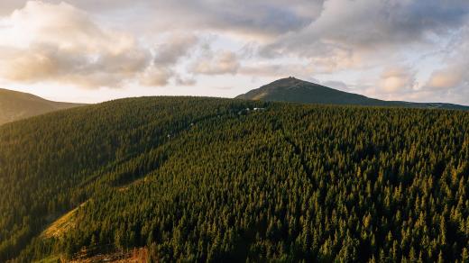Krkonošský národní park (ilustrační foto)