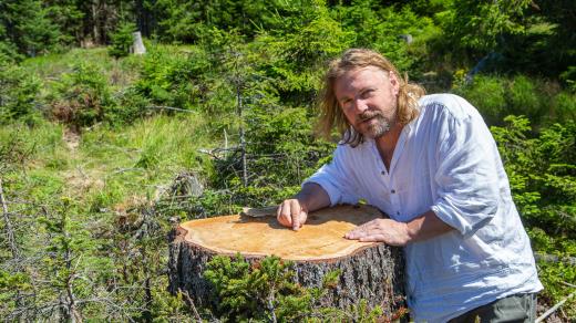 Pavel Hubený spočítal letokruhy na více než 17 tisících pařezů na celém území NP a CHKO Šumava